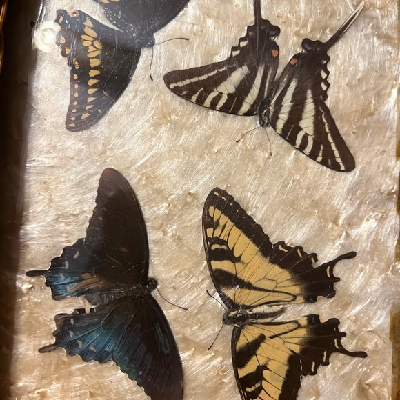 Wooden and wicker serving tray/ trinket tray - Picture 3 of 6